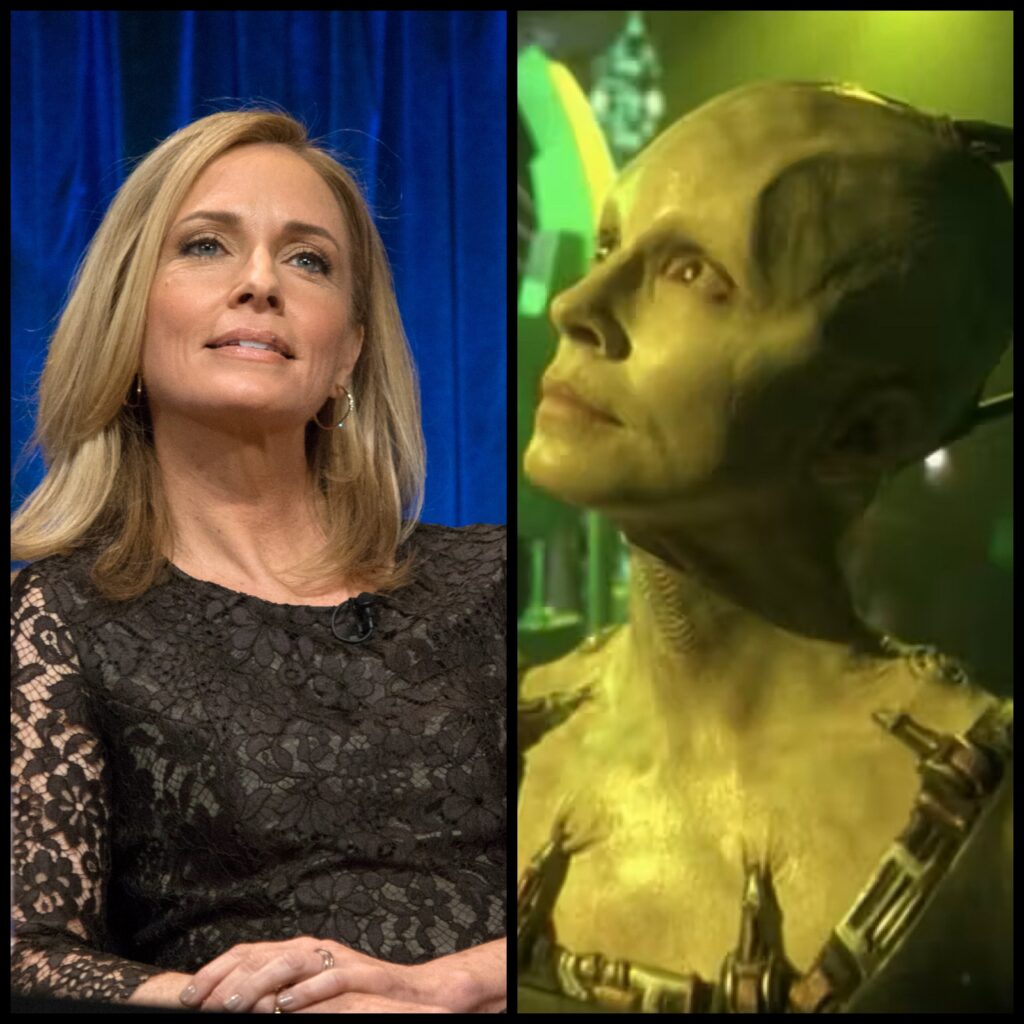 The Borg Queen