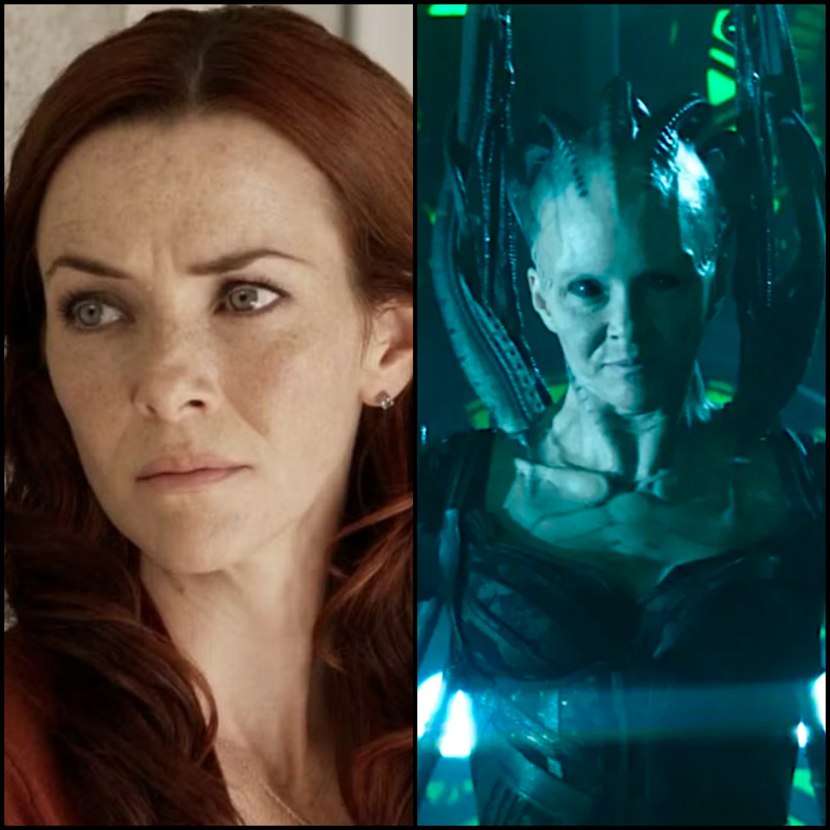 The Borg Queen